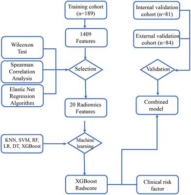 Identifying ureteral stent encrustation using machine learning based on CT radiomics features: a bicentric study